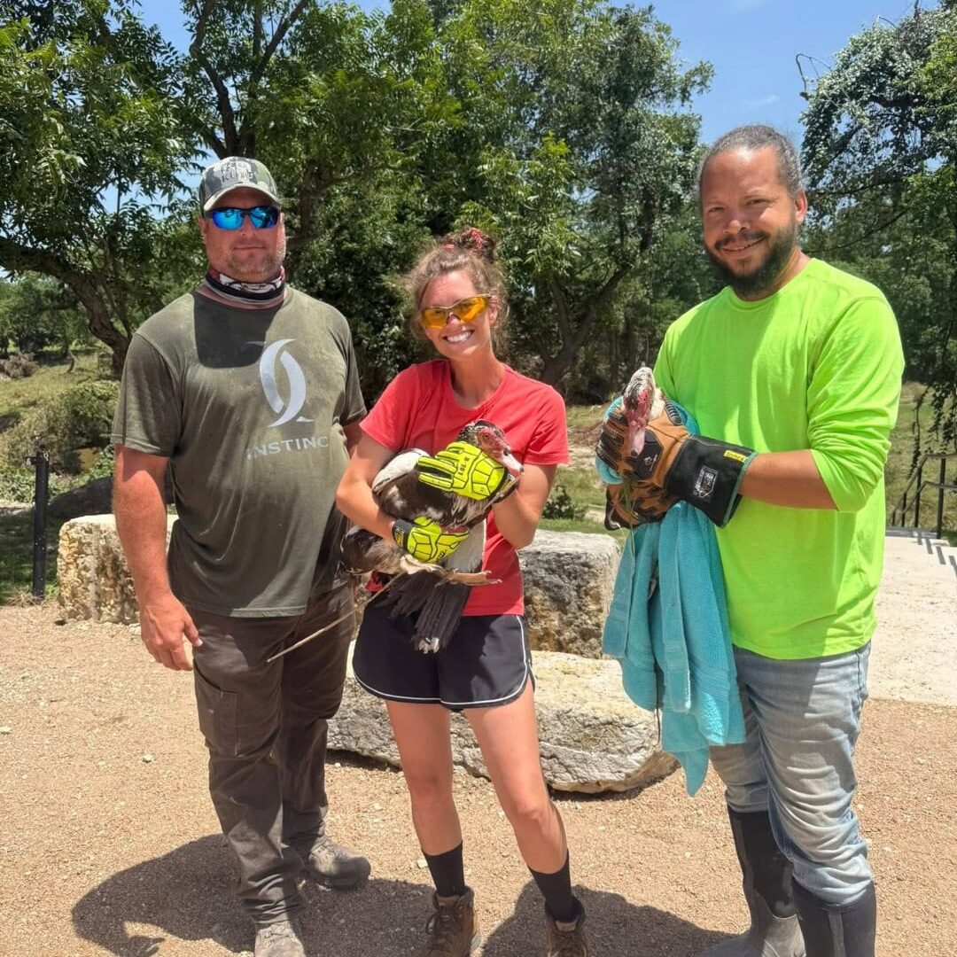 552927170_1242312077918341_342116004492779613_n