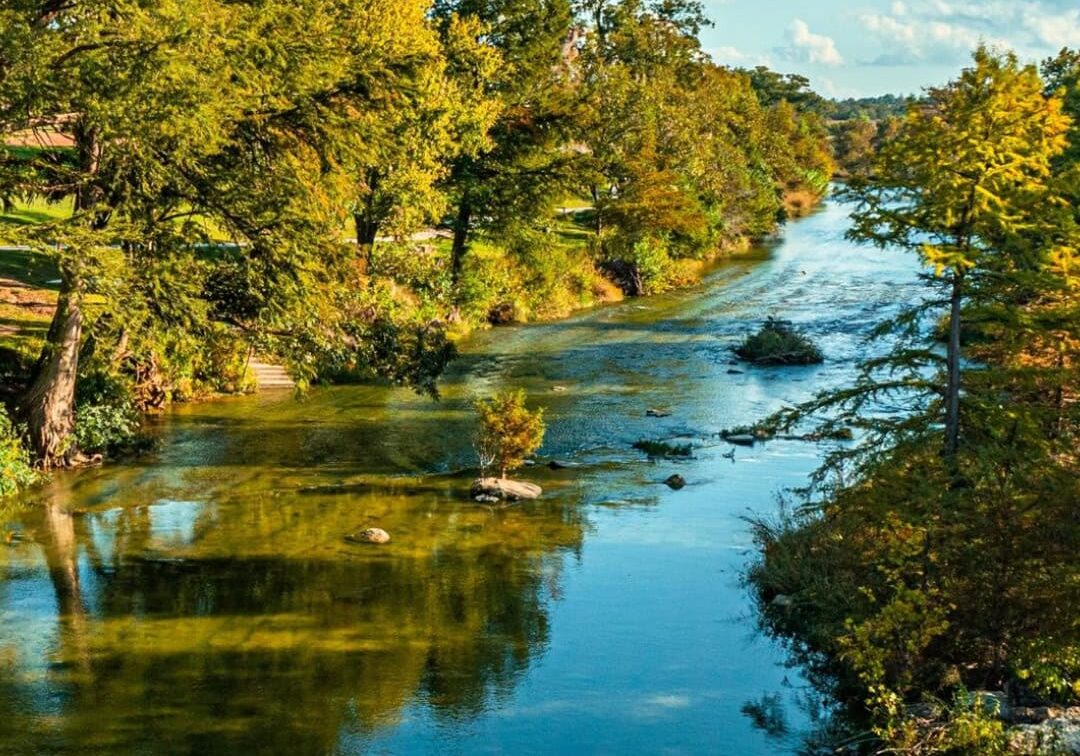 CFTHC - March Organic (33)