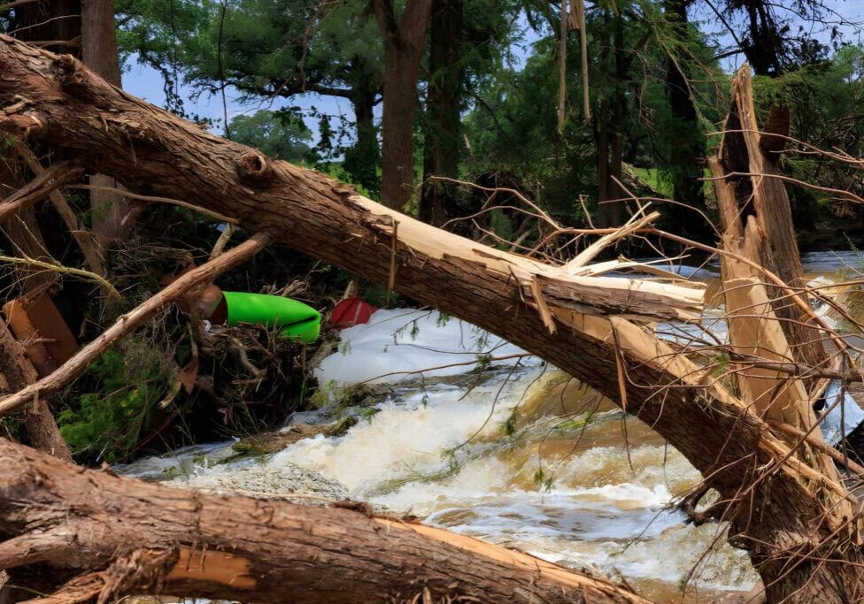 flash-flood-damage-broken-trees-debris-river