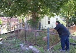 images (22)