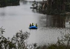 images (29)