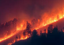 images (3)