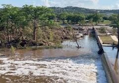 images (7)