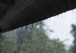 images (9)